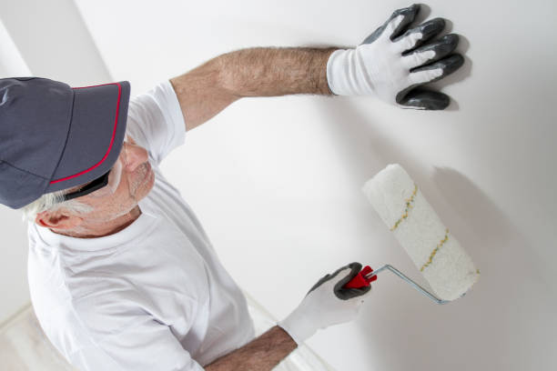 Best Repainting for Renovations  in Palmetto Estates, FL